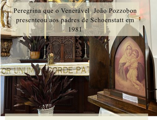 Agende a visita da Peregrina